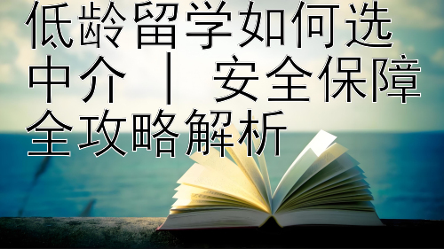 低龄留学如何选中介 | 安全保障全攻略解析